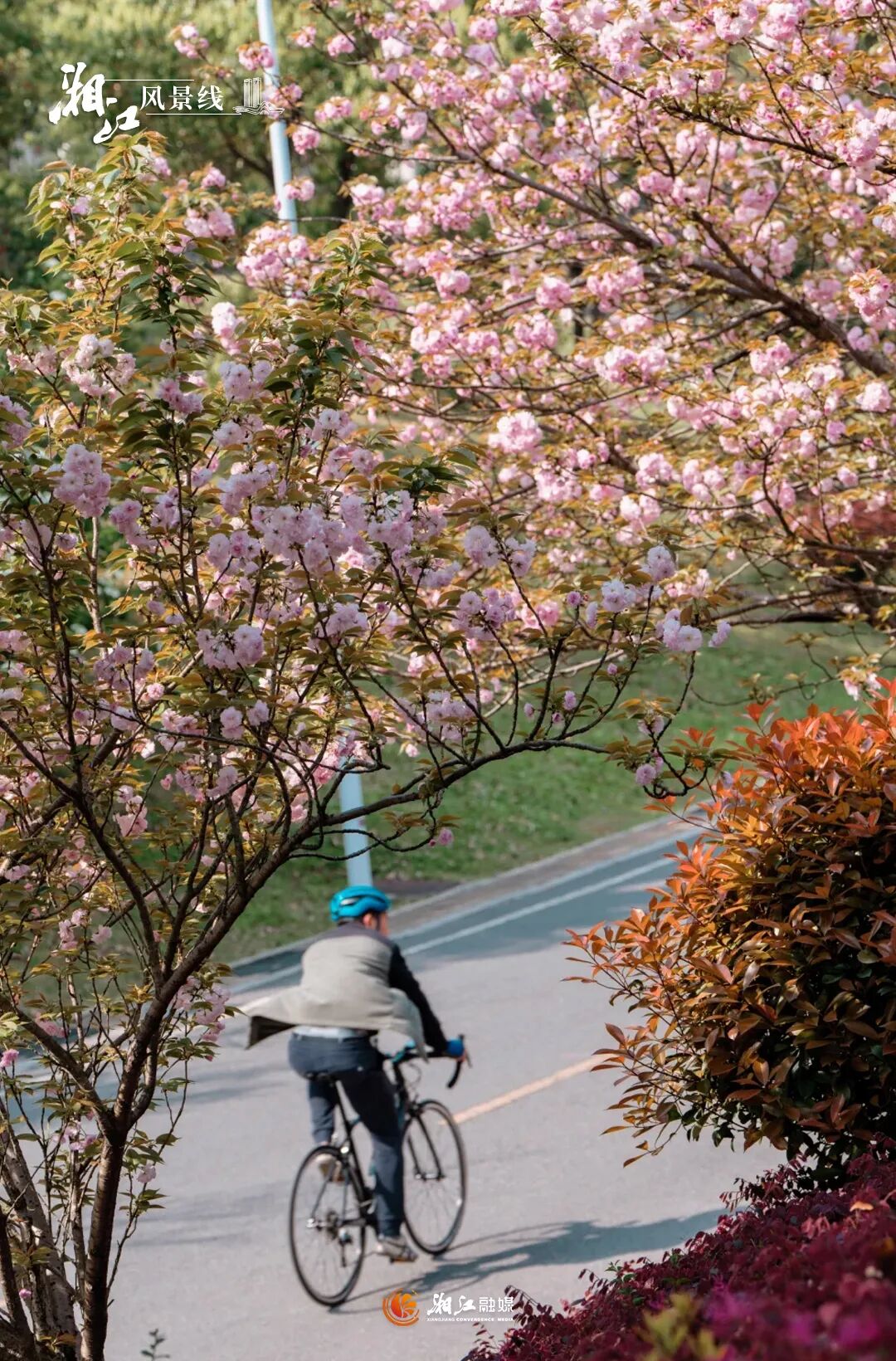 ϲ�g���յİ��_ˮ